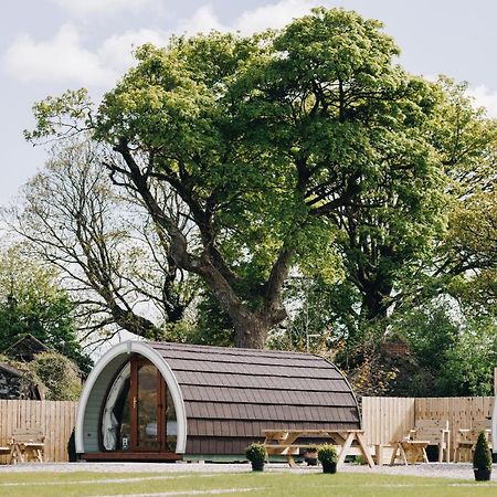 Hotel North Coast 9 Glamping Capecastle Exteriér fotografie