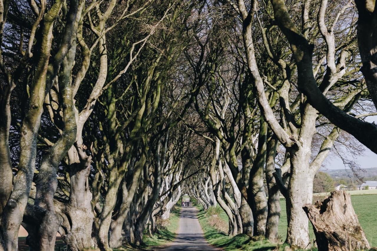 Hotel North Coast 9 Glamping Capecastle Exteriér fotografie